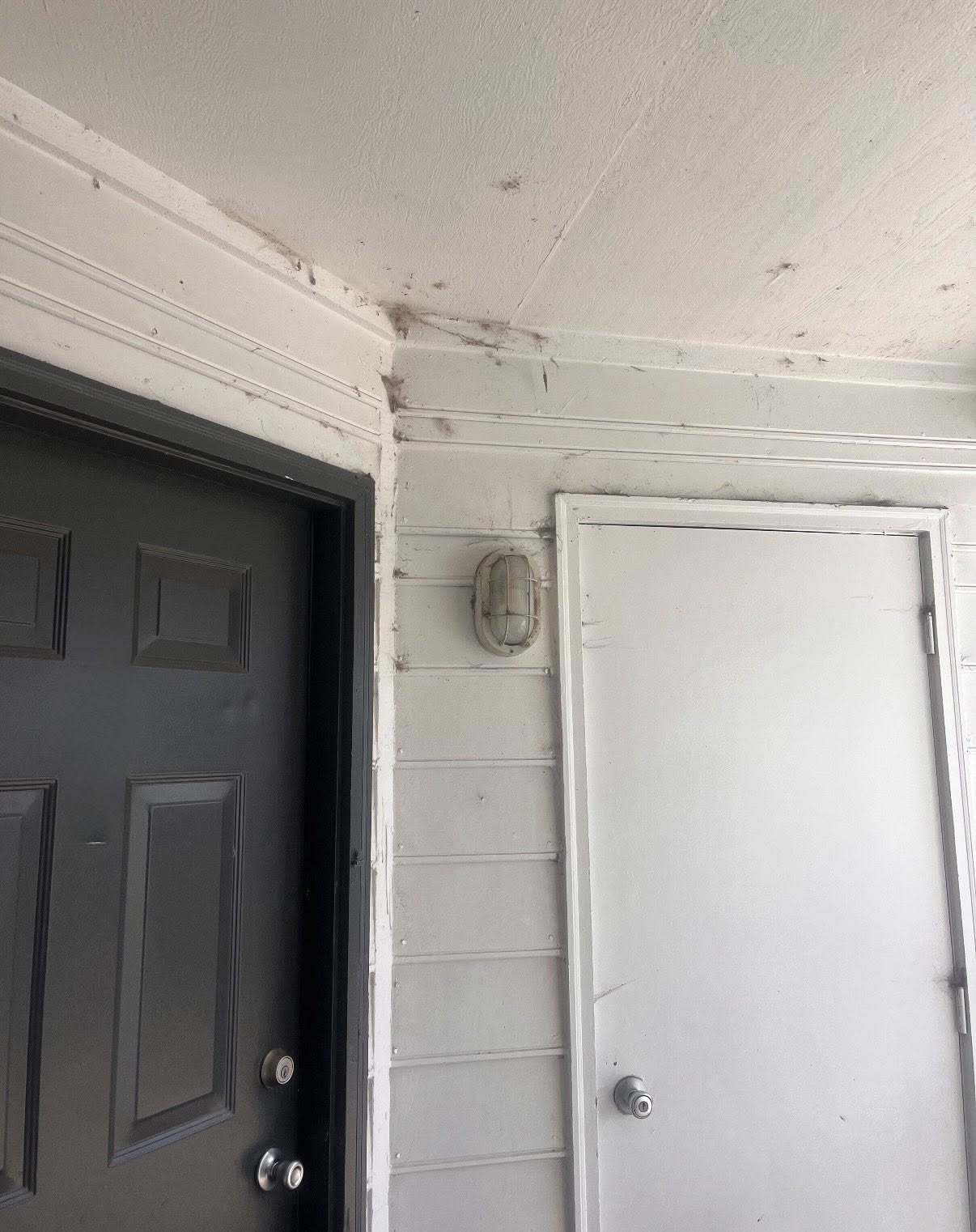 Home improvement project 32